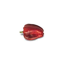 Pimiento rojo.Bandeja 0,500 Kg